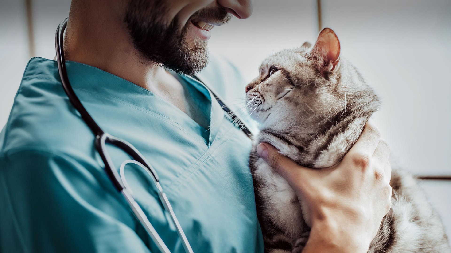 Seydişehir Veteriner